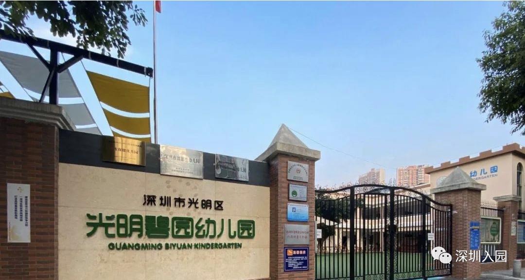 深圳公办幼儿园上不了怎么办,深圳幼儿园停止办学吗