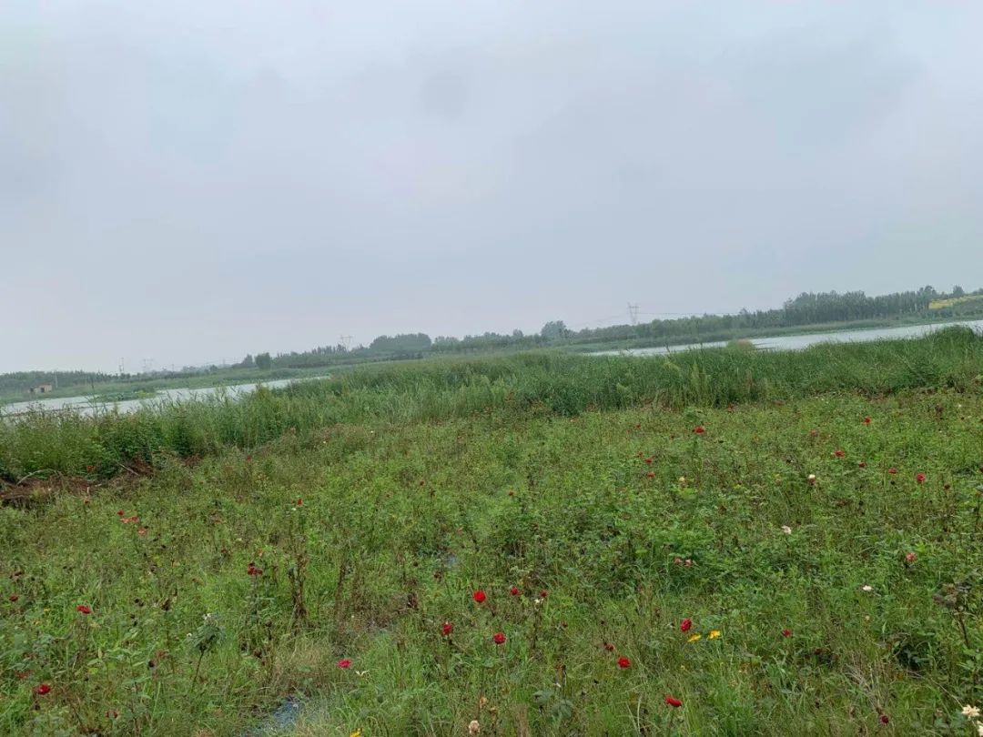 淄博慢城旅游攻略,淄博慢城