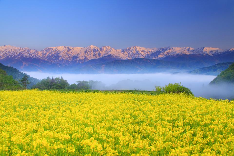 无论出现什么问题都要想办法解决,无论遇到什么事都该积极面对