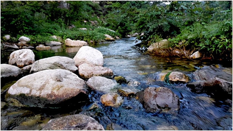 临沂蒙山大洼，自由地享受山里的美食与风景（自驾游）
