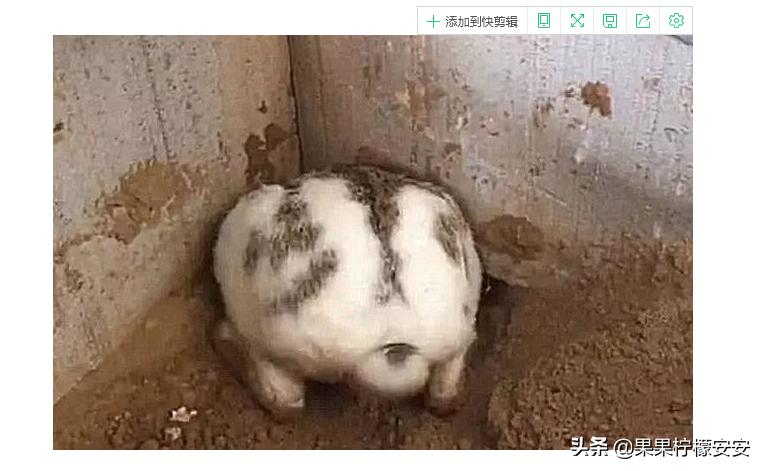 在网上看到了一个新闻，然后用图片搜索一查，简直笑开了花