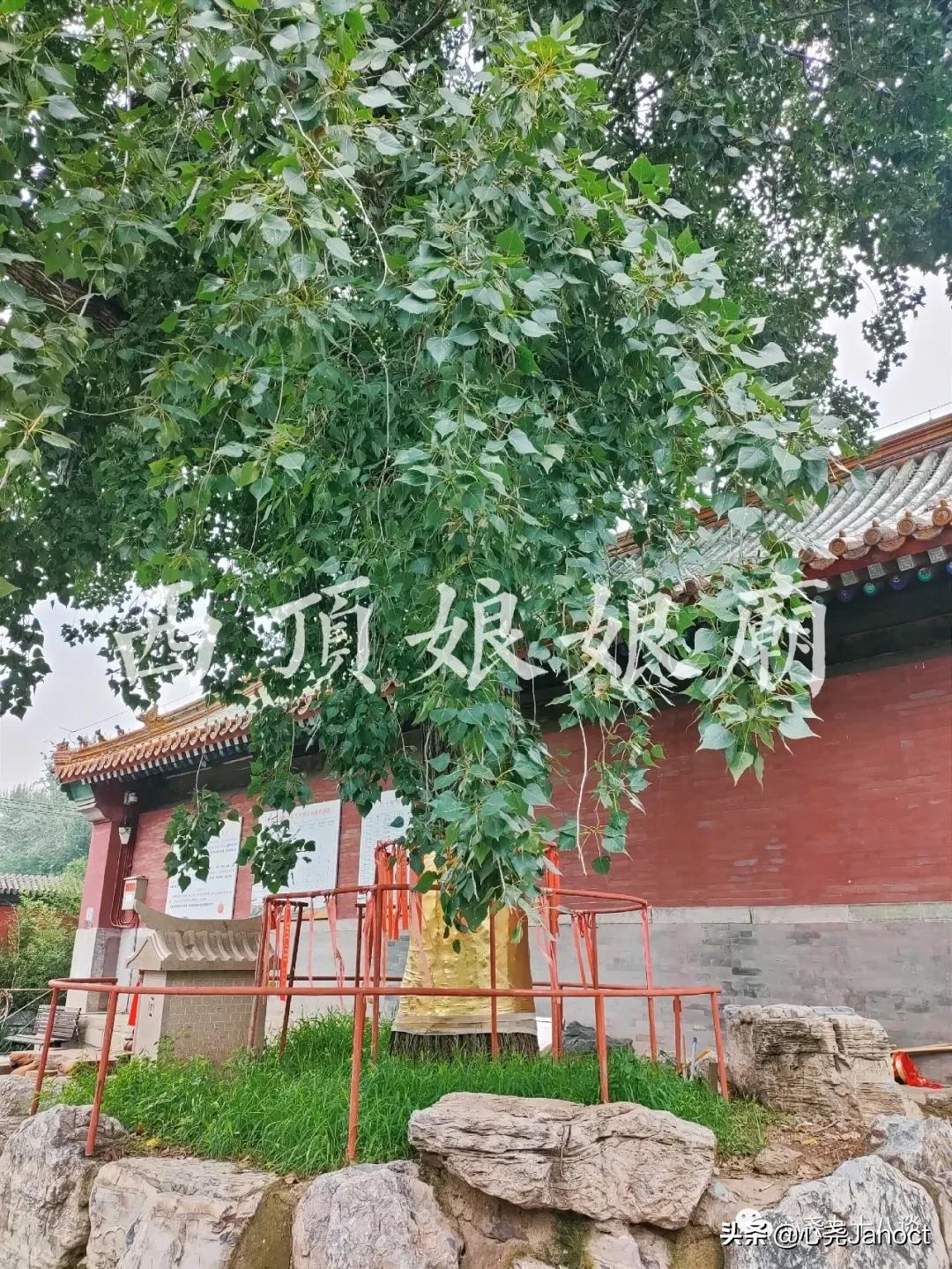 北京西顶娘娘庙、古麦钟桥遗址竟然都在世纪金源购物中心周边