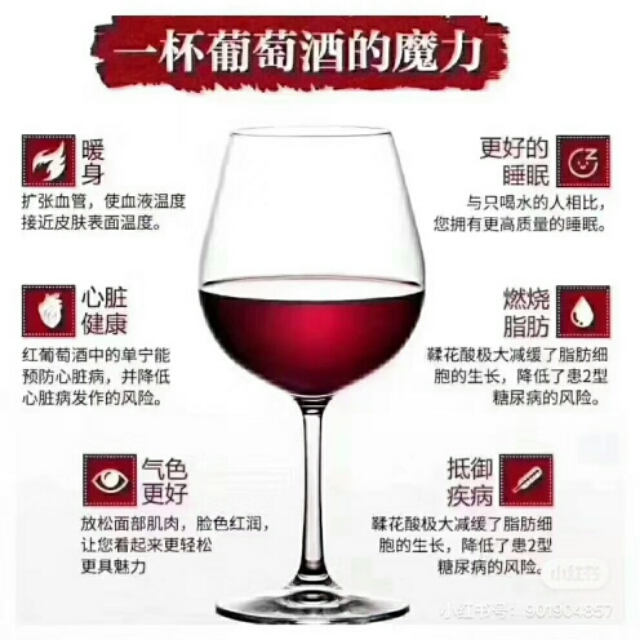 守望之豹红酒法国进口,正宗原瓶原装进口澳洲法国红酒