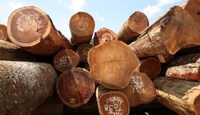 市场上的柚木是真的吗,市场柚木都是假货吗