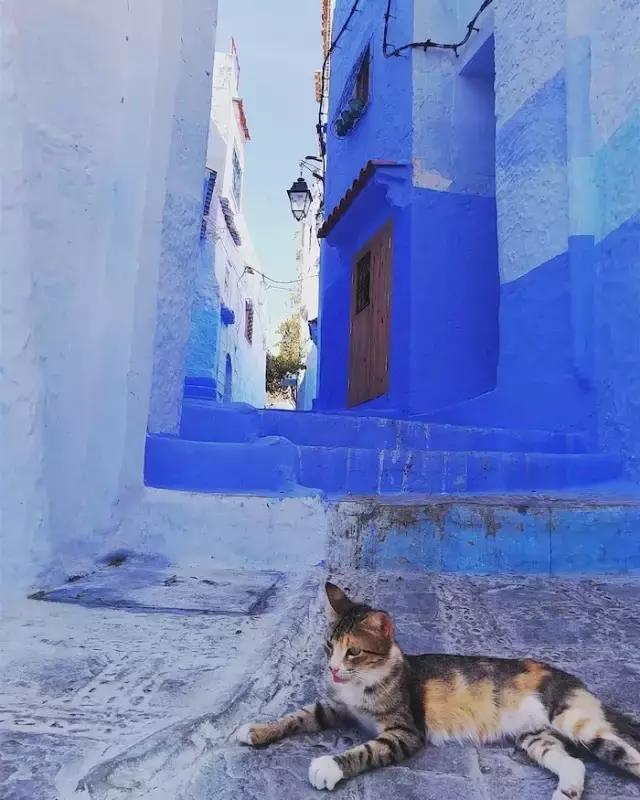 免签进一步扩大开放,免签后游客暴涨