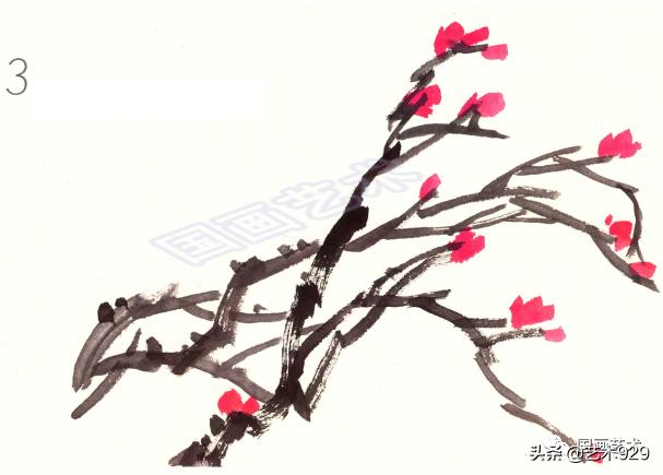 国画技法简单易学的写意牡丹,国画最简单牡丹画法教学视频