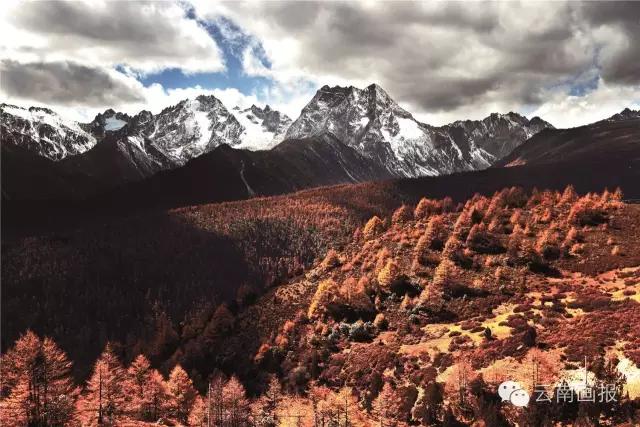 云南有9个5a景区是哪里,云南推荐景区排名榜最新