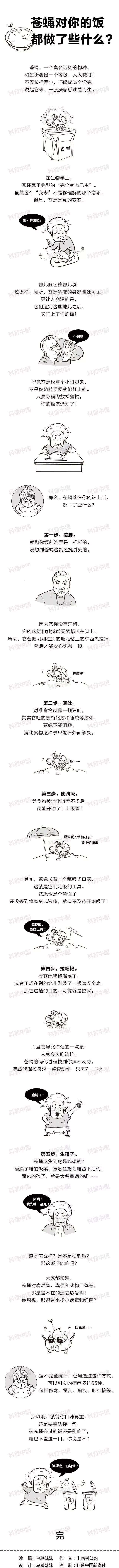 苍蝇在食物上干了什么,苍蝇落在食物上都做了什么