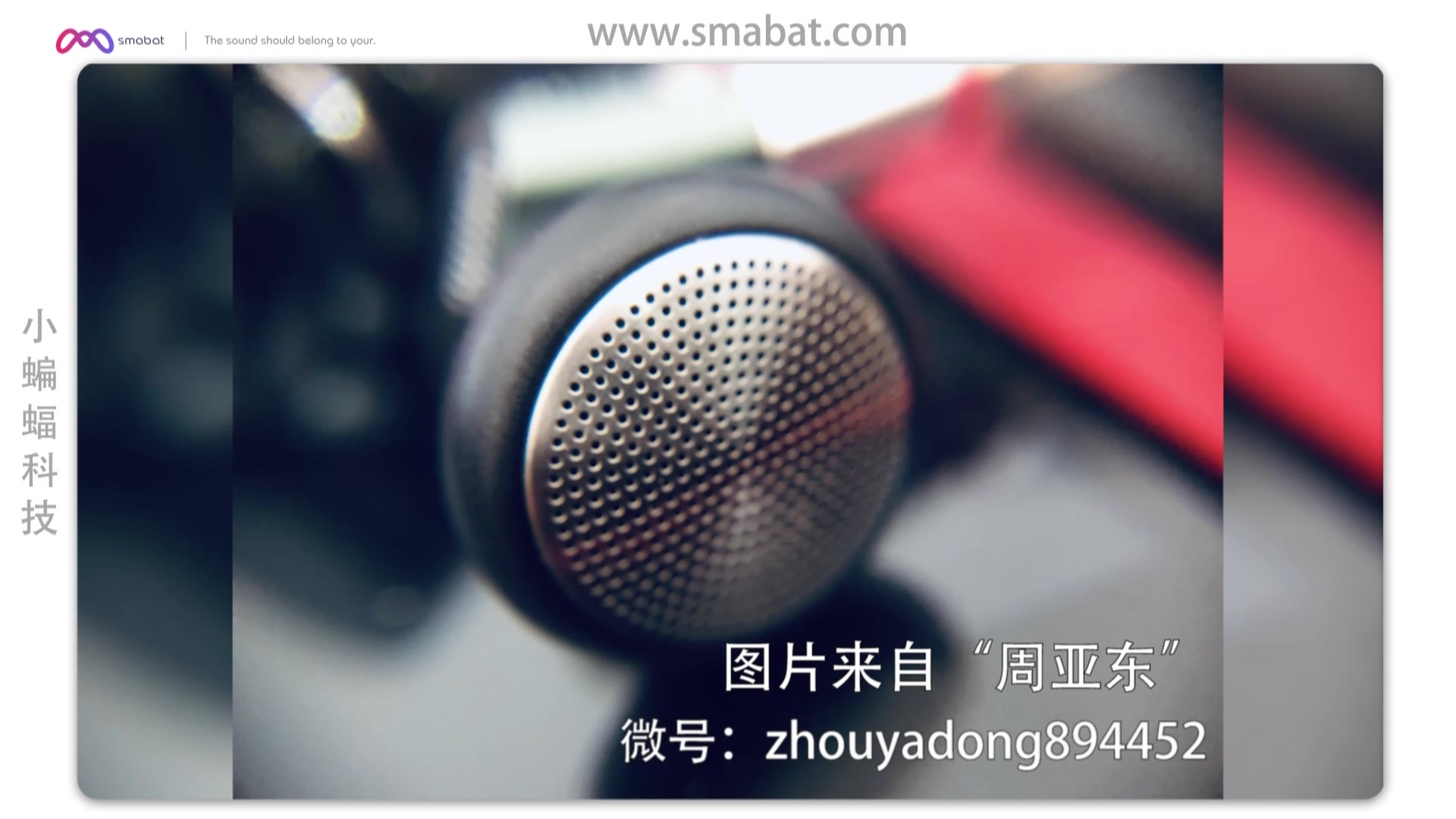 小蝙蝠st10s声音表现,小蝙蝠st10s与天琴座