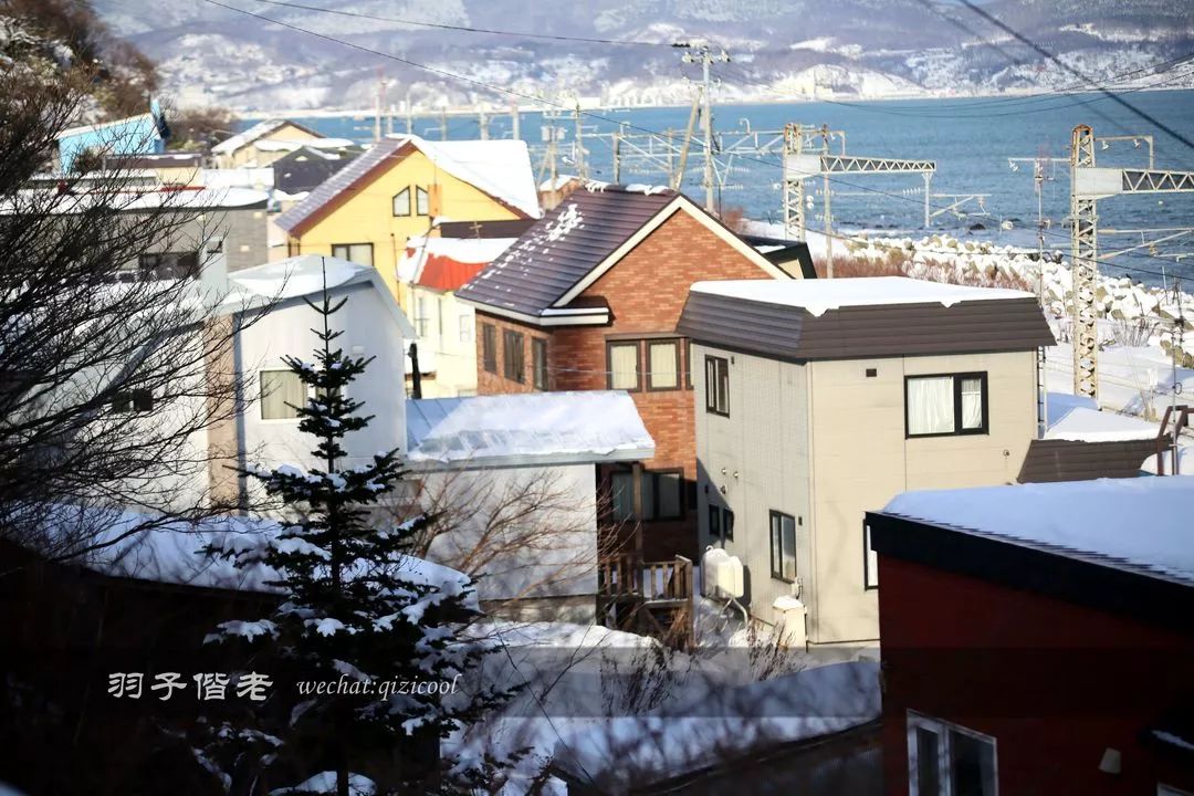 老实说，这一趟北海道就是为了拍好看的照片去的