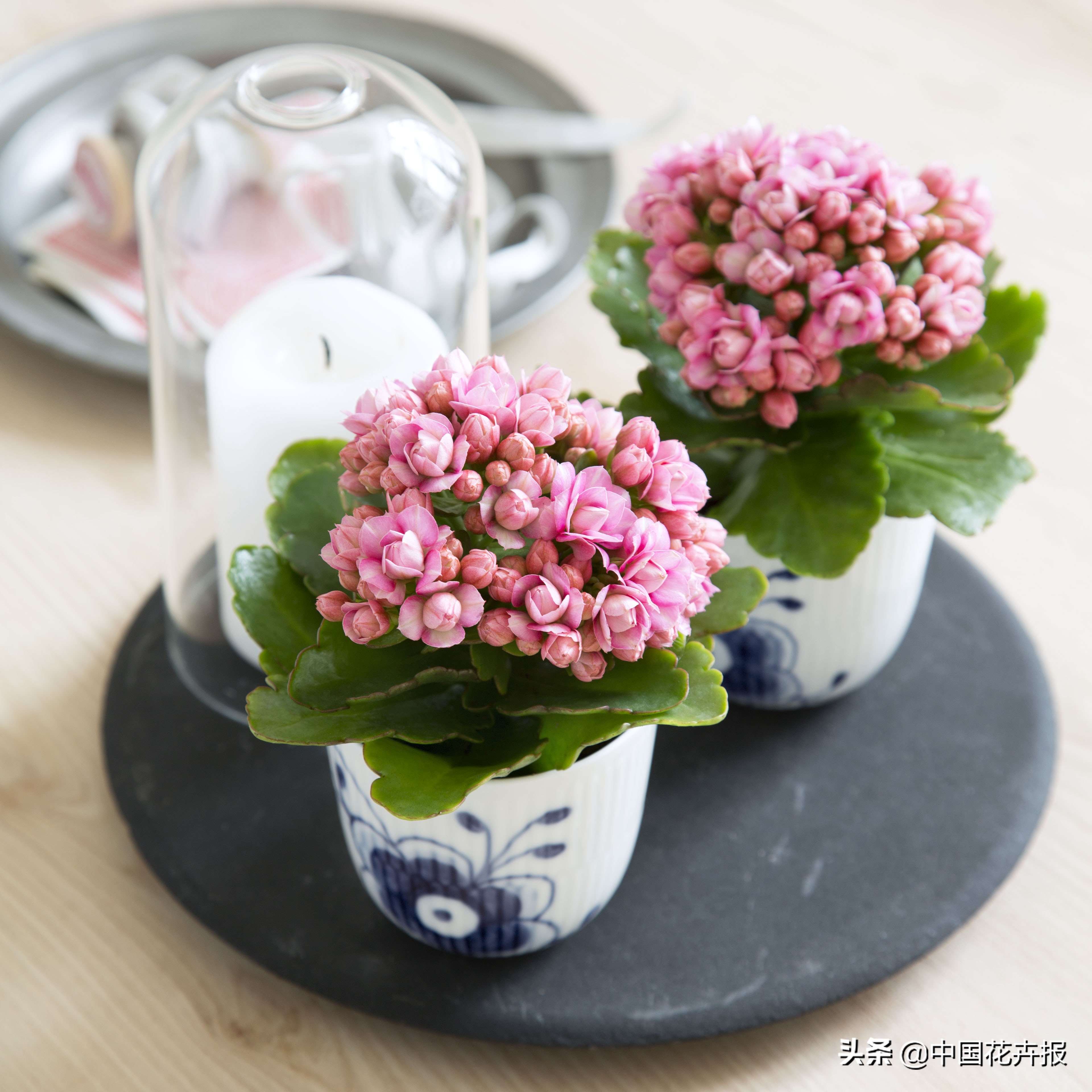 父亲节来了给爸爸买点啥,父亲节来了要给爸爸送些什么呢