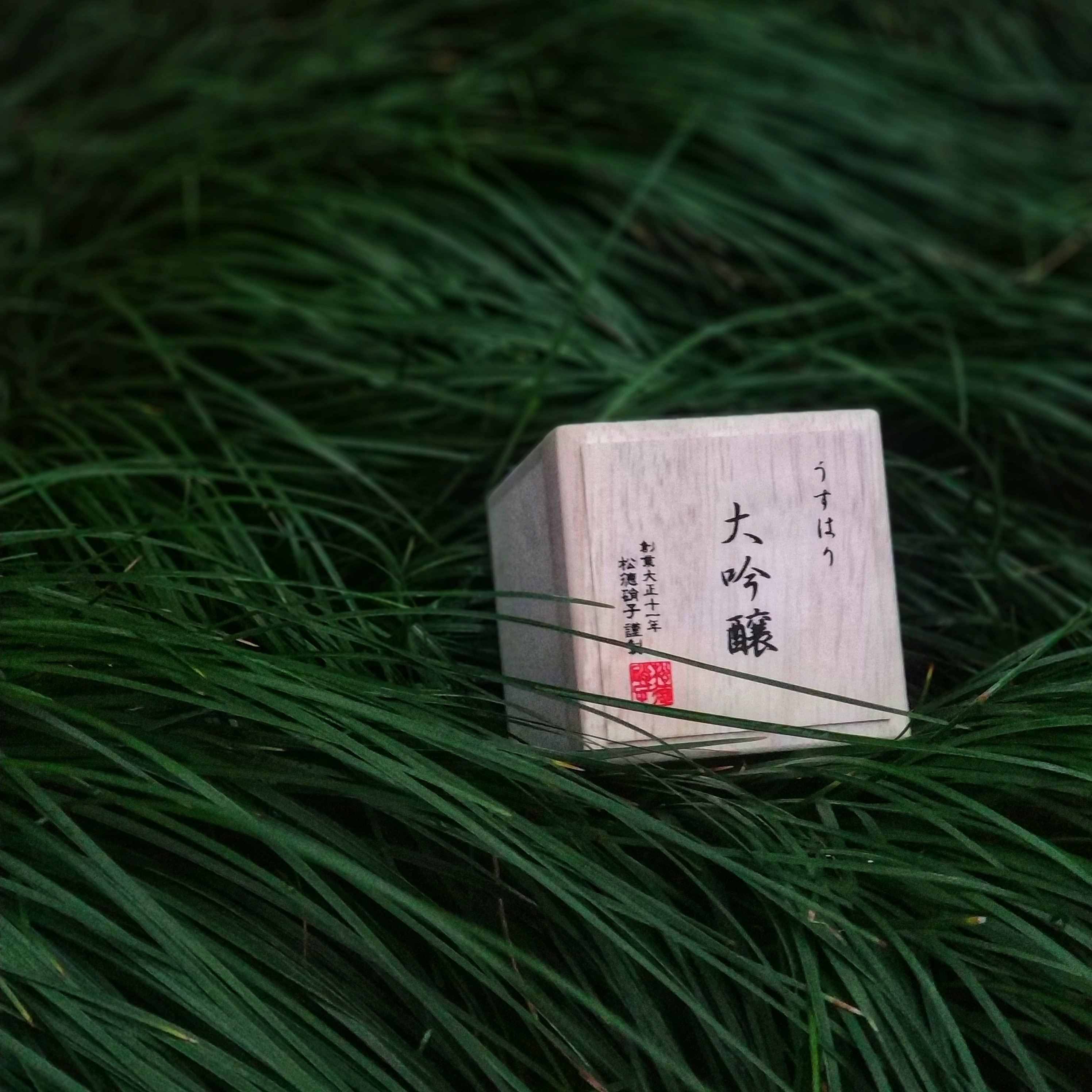 醉在樱花烂漫时：解锁季节限定大吟酿|品乐