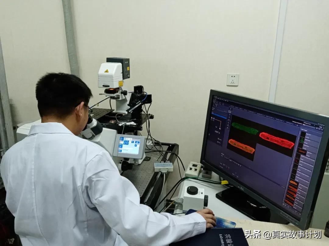 学医收入4500,学医八年毕业能挣多少