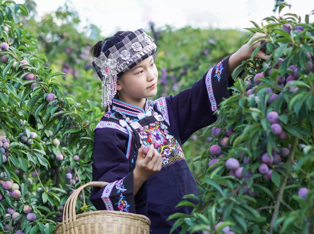 天峨蓝衣壮族服饰,天峨县蓝衣壮族服饰制作技艺来历