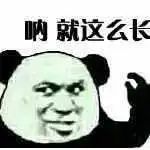 我就不信，东北人还能造出什么我没听过的词