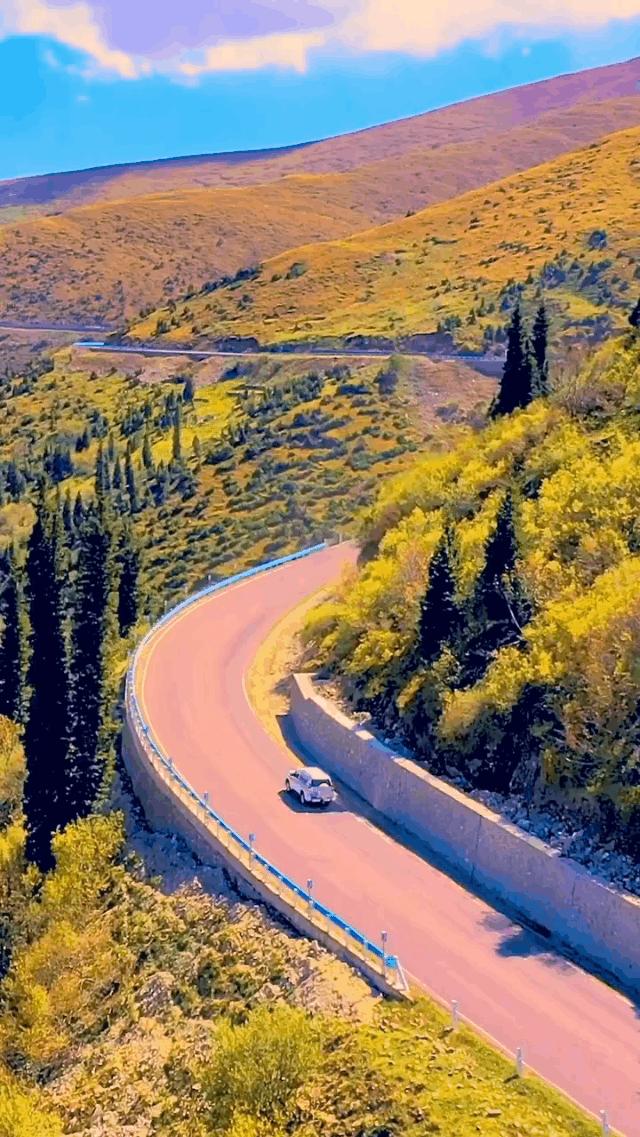 如果你不了解现实你就去看历史,如果你不了解历史就无法展望未来