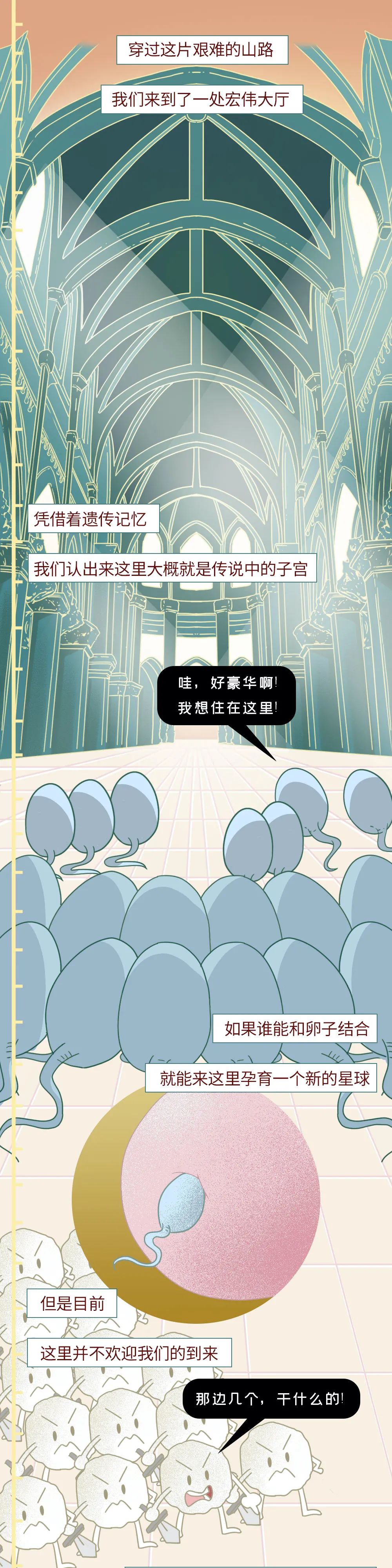 精子进入人体24小时变化,男性精子在体内存活时间