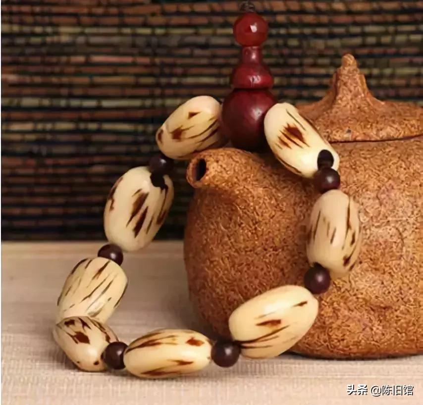 最值得玩的菩提子,真正的菩提子