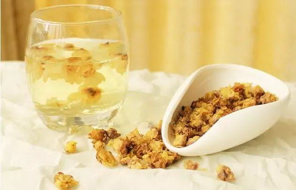 腊梅花有什么特点和作用,什么样的腊梅花好