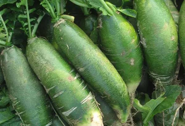 怎么一句话证明是青岛人,怎么用一句话来证明自己