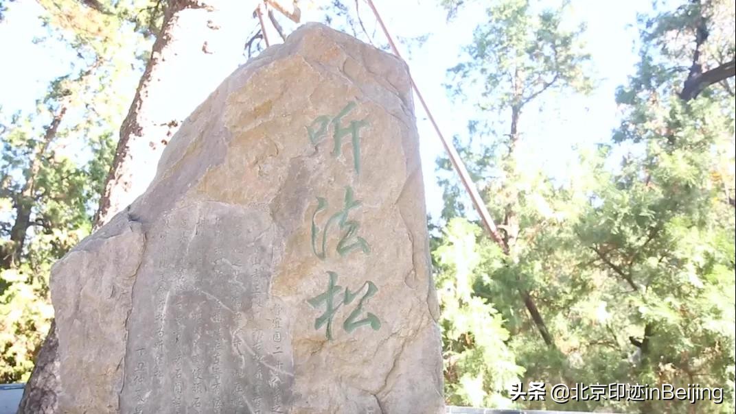 香山静宜园图片大全,香山静宜园二十八景