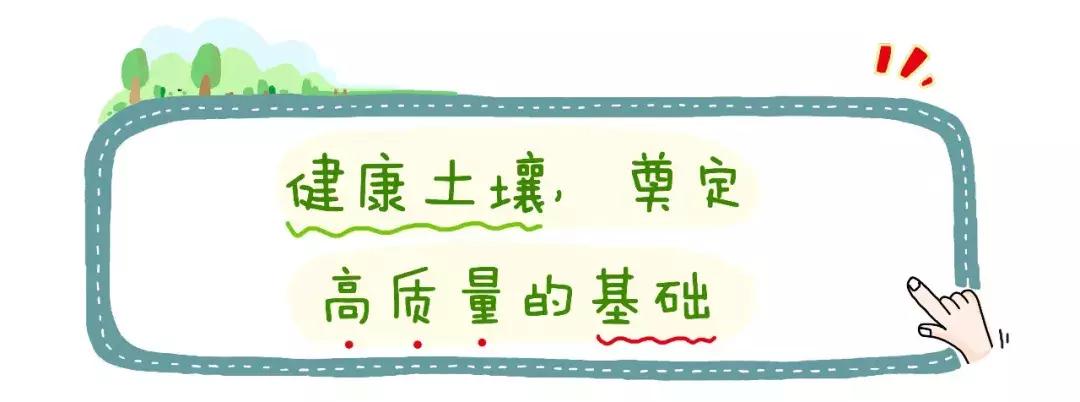 做对这一件事，小白妈妈也能选出优质口粮
