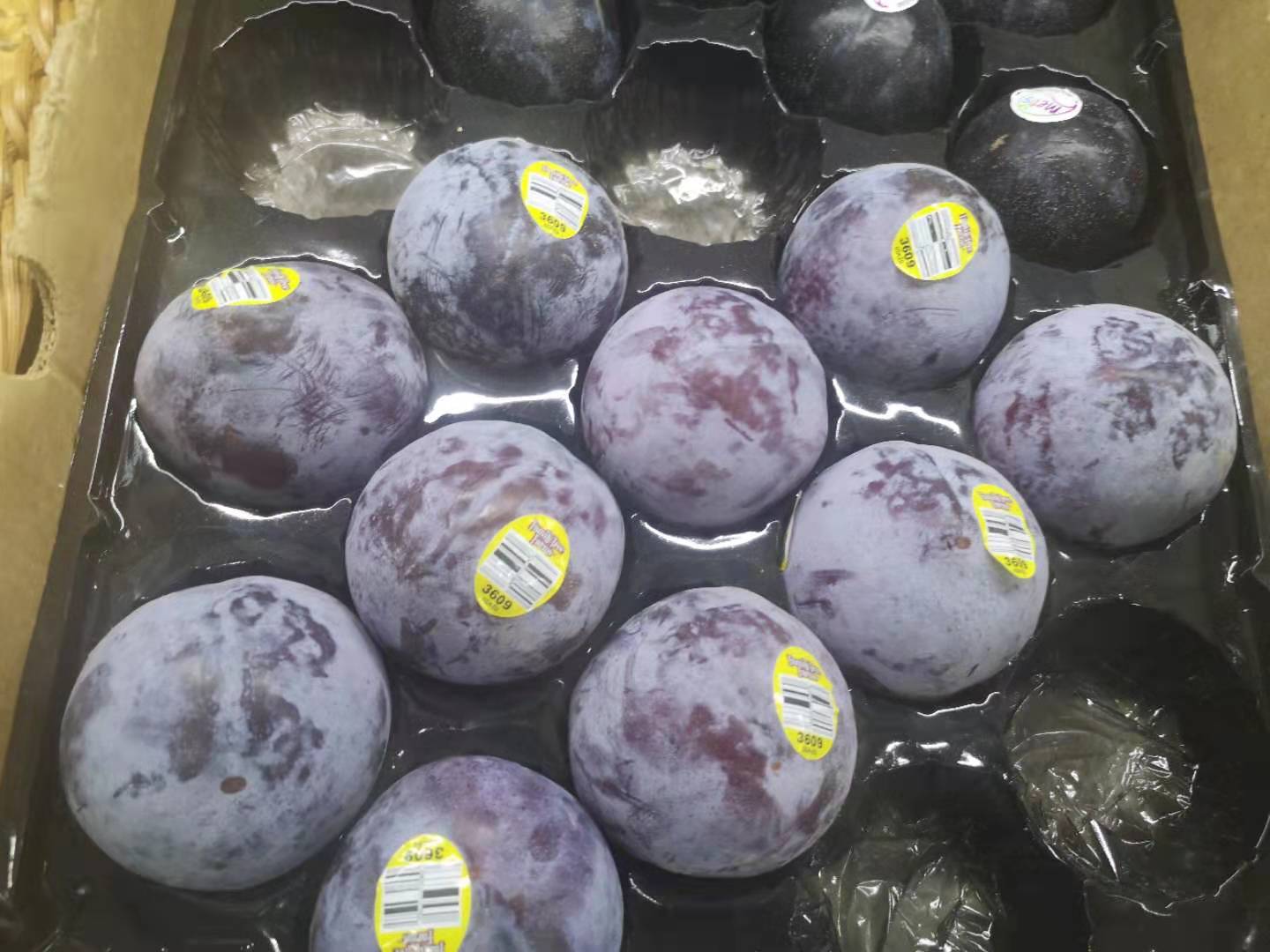 外国李子咄咄逼人，我国仅有祖传的三华李能与之一战？