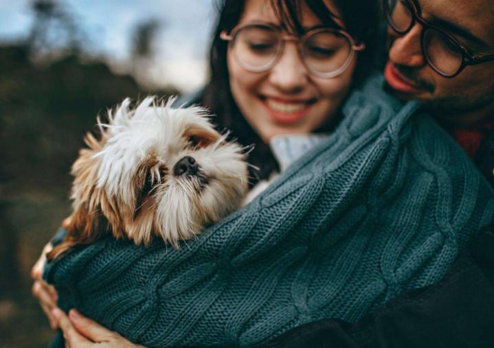 选择做丁克的到老了都会后悔吗,做丁克10年后的感受