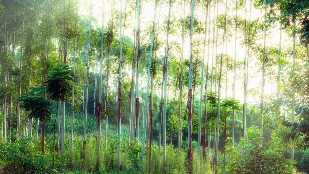 有关温柔的四字成语,表示很温柔四个字成语