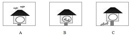 2021年聊城市中考英语试题含答案,2021年山西中考英语试卷以及答案