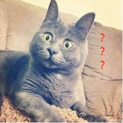 愚人节十大套路排行榜,愚人节套路哪个最厉害