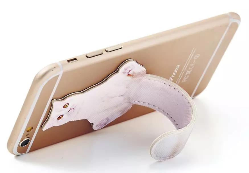 日本人又来骗猫奴们的钱啦！但我心甘情愿掏钱了！