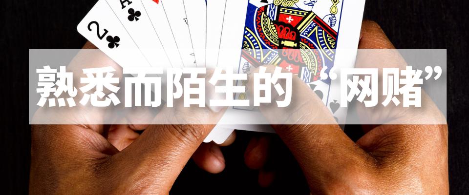 女网友钟情网赌，见了3次面，骗了450万......