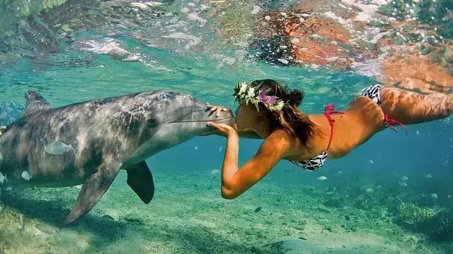 有个岛国,比美马代,比海南便宜,机票500起!