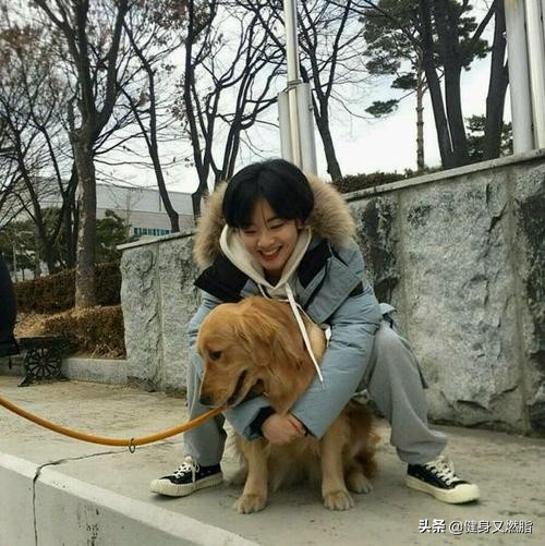 李珠英短发,李珠英短发同款