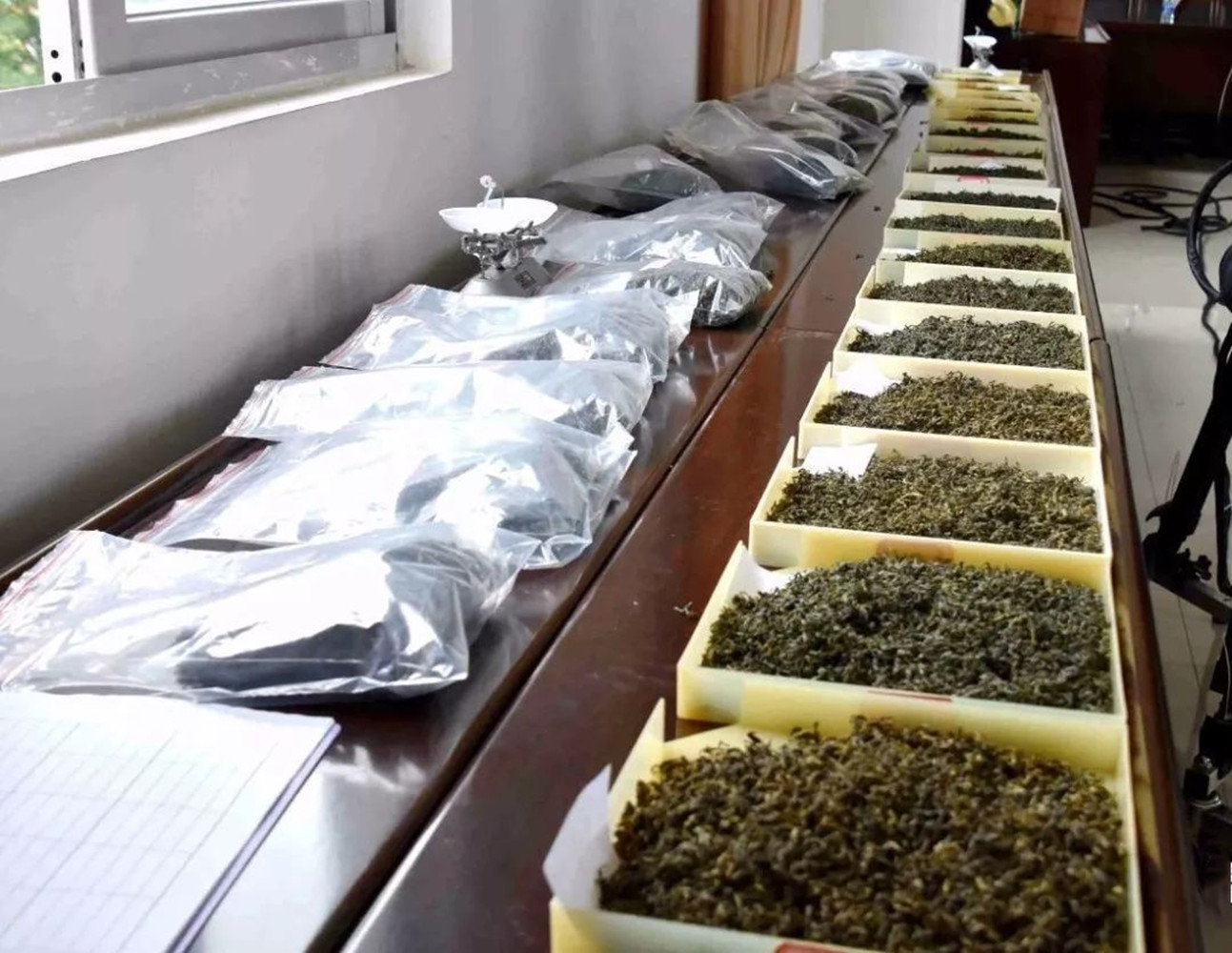 龙岩斜背茶特级价格,龙岩斜背茶和龙井茶