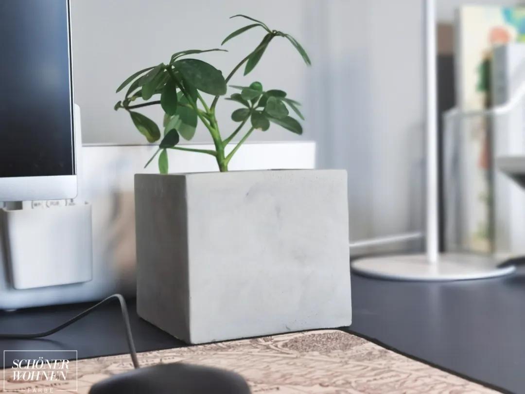 德国舒纳沃恩漆极地白,德国舒纳沃恩漆有气泡怎么办