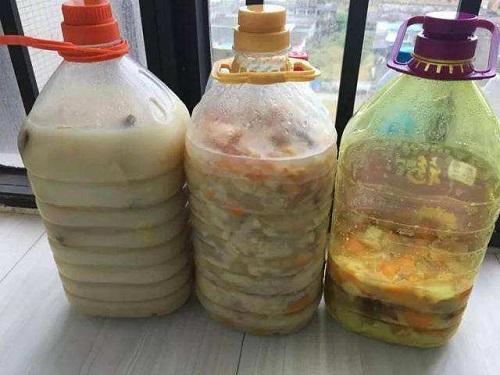 吃完桔子柚子皮皱巴巴，发酵成肥埋盆里，枝条窜出盆变成绿瀑布