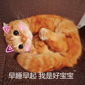 蔡老师答疑课,蔡老师育儿讲堂