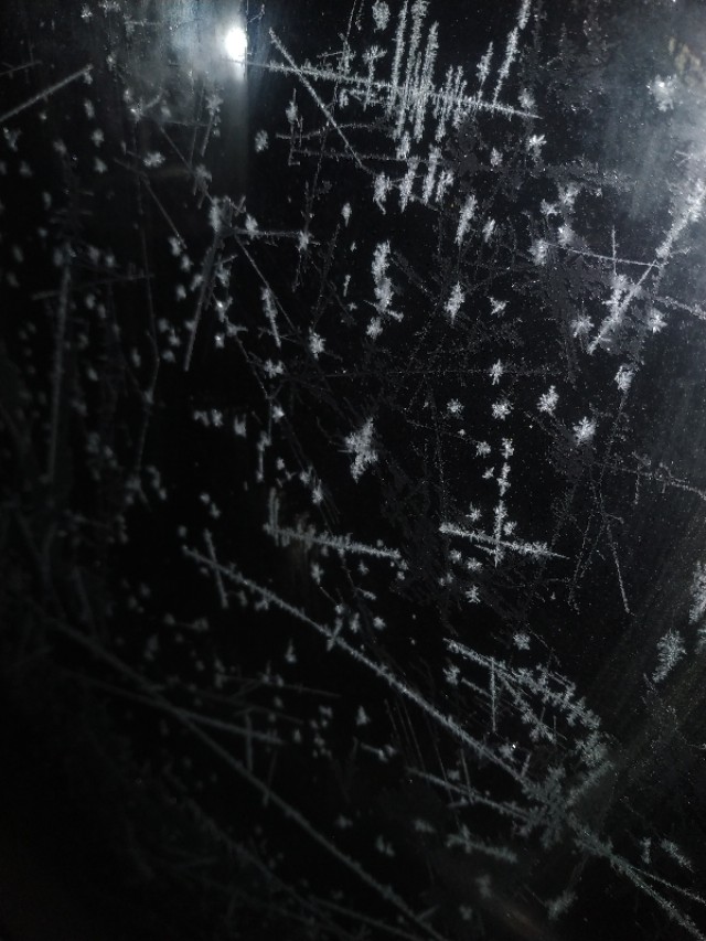 我在新疆生活的经历,我在新疆打工的日记