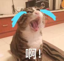 如何合理使用网盘安全,网盘安全吗个人还有隐私吗