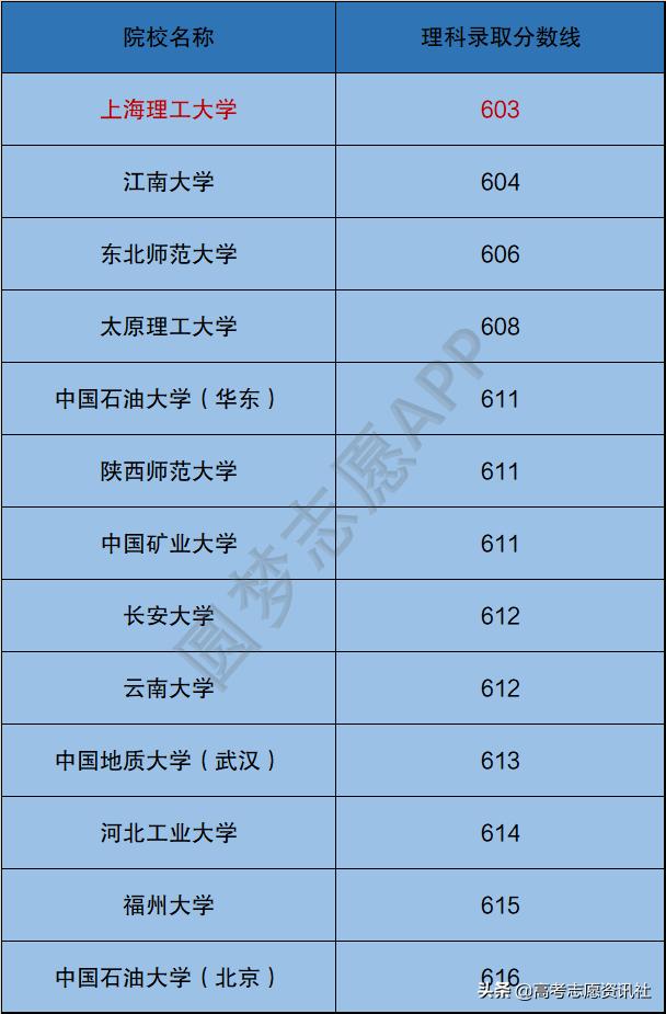 选211还是上海电力,选211还是选好城市好专业
