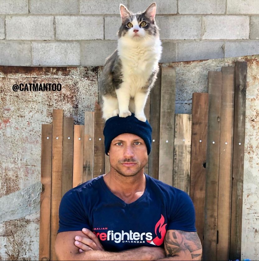 来了来了!他们带着猫猫又来了