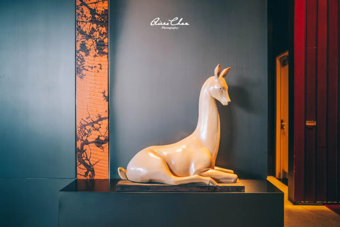 君悦茶颜悦色,长沙君悦茶颜悦色