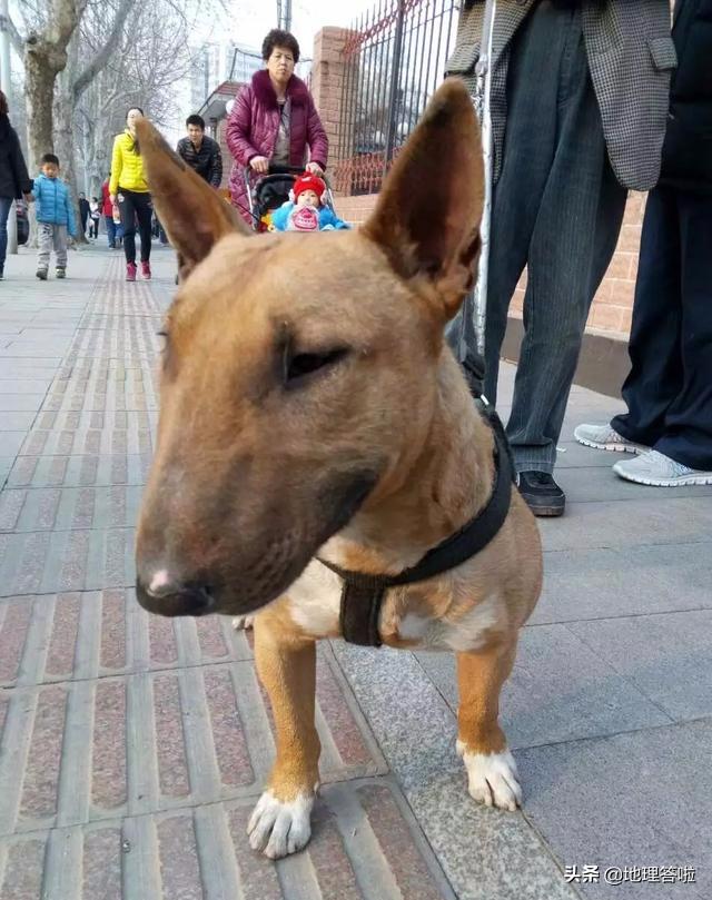 中国有地理标志的土特产是什么呢,各省市特产及特色菜