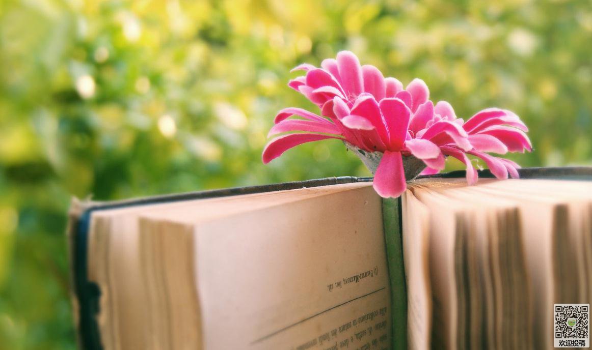 致所有想创业赚钱的你,我们该怎么去创业赚钱