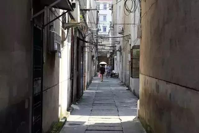 编辑部第一届“斗月饼大赛”开吃！11款老字号，谁才是浙江NO.1？