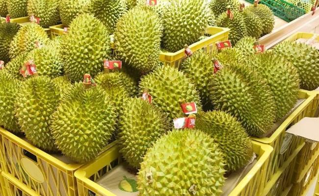 榴莲核泡在水里为什么会裂开,榴莲的核能泡发芽吗