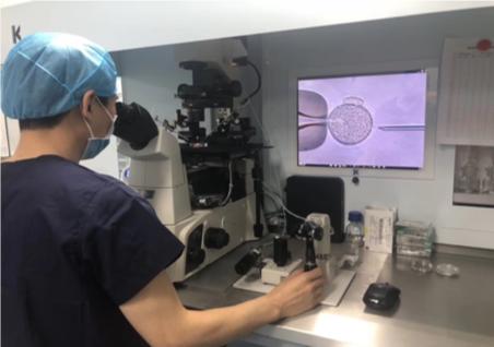 常见的辅助生殖技术,辅助生殖技术纳入医保项目有哪些