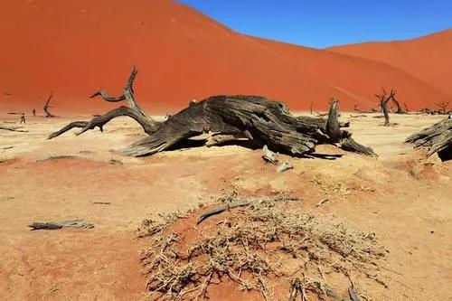 死亡谷地图全图,死亡谷地完整版在线观看